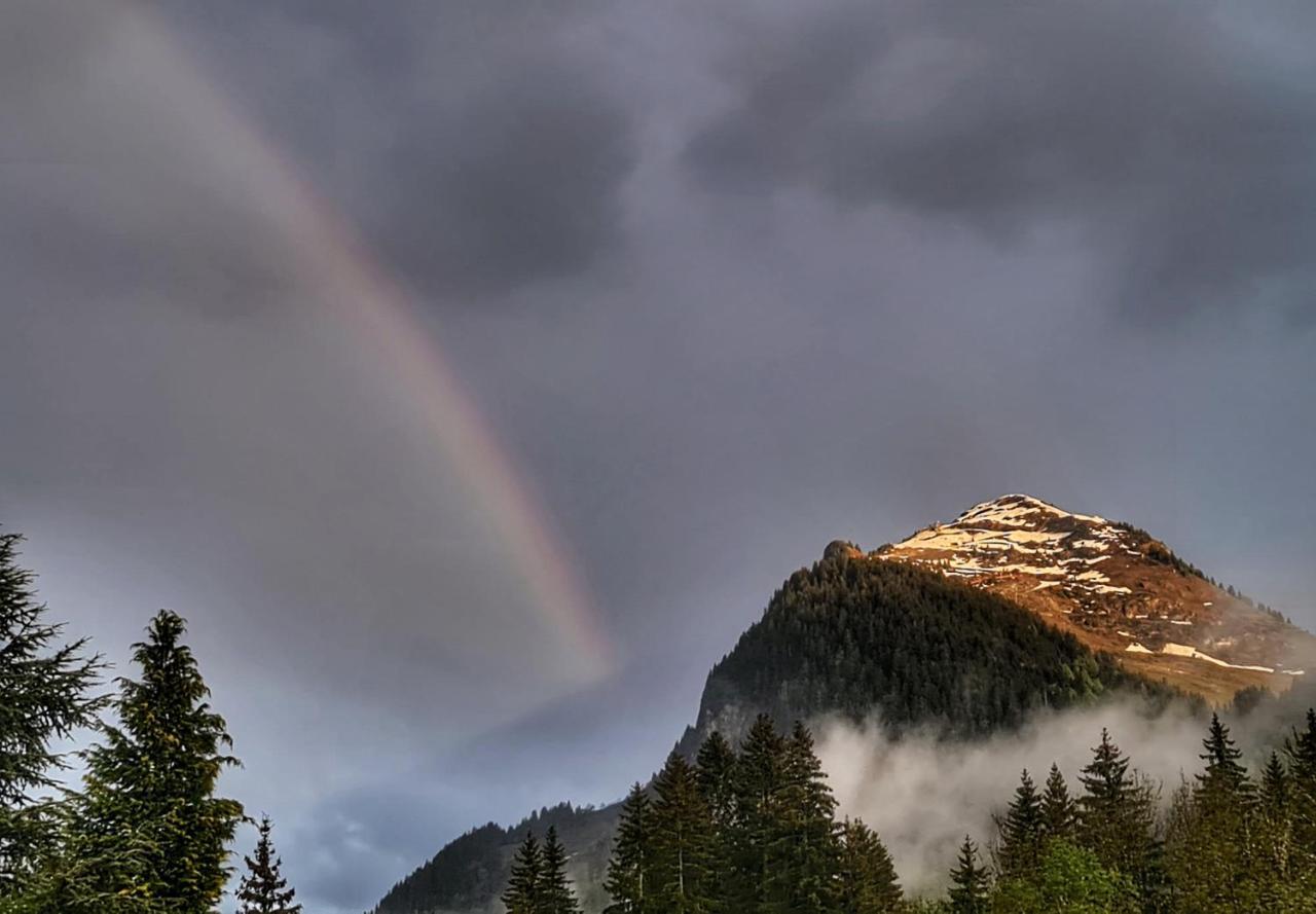 Le Passionnant Otel Morzine Dış mekan fotoğraf